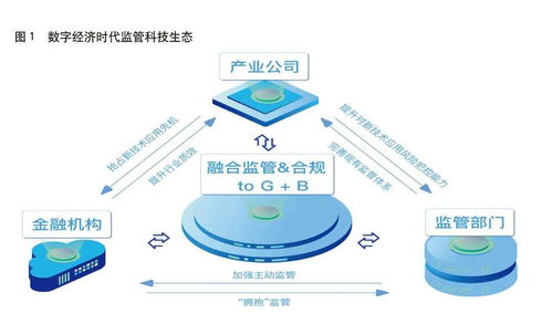 中国金融 数字经济时代的监管科技